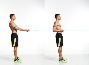 Resistance band rows